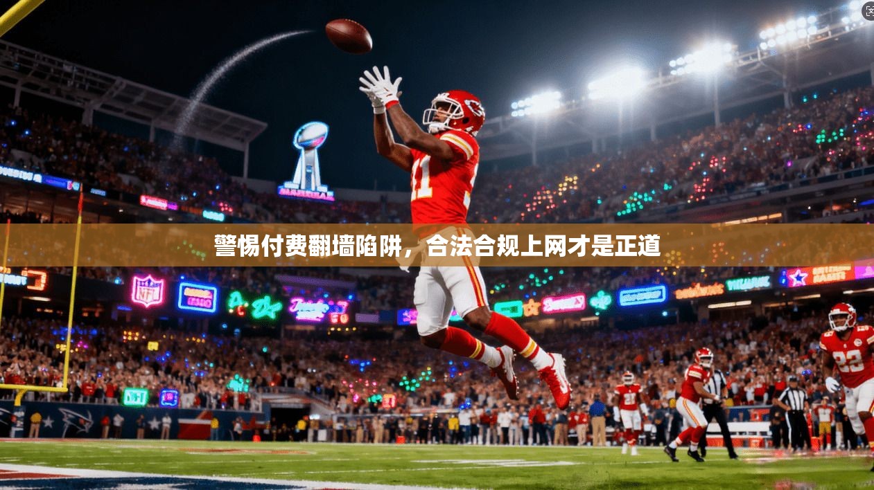 警惕付费翻墙陷阱，合法合规上网才是正道