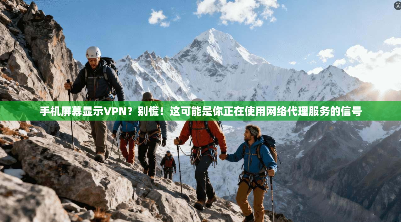 手机屏幕显示VPN？别慌！这可能是你正在使用网络代理服务的信号