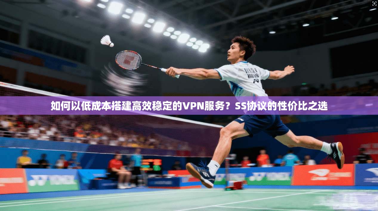 如何以低成本搭建高效稳定的VPN服务？SS协议的性价比之选