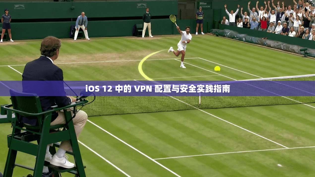iOS 12 中的 VPN 配置与安全实践指南