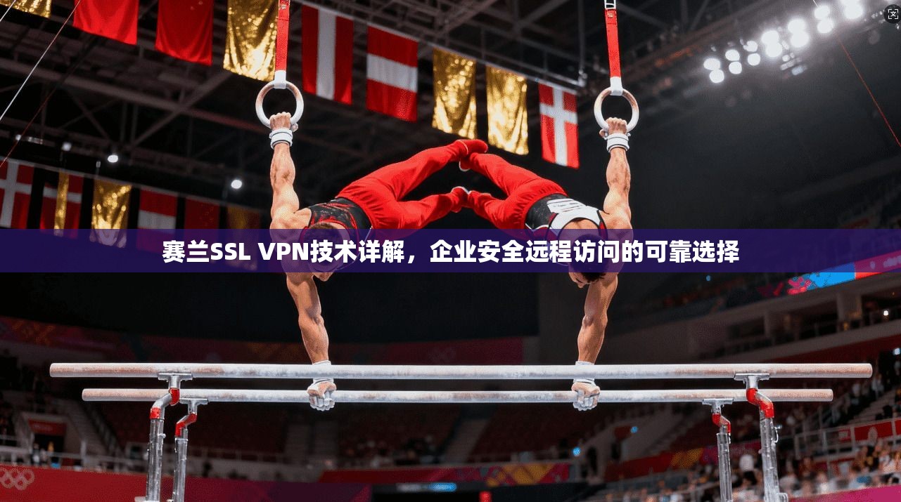 赛兰SSL VPN技术详解，企业安全远程访问的可靠选择