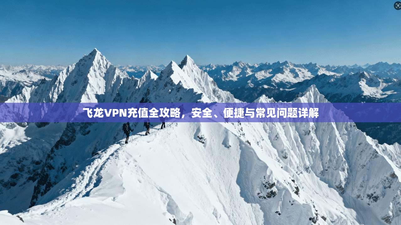 飞龙VPN充值全攻略，安全、便捷与常见问题详解