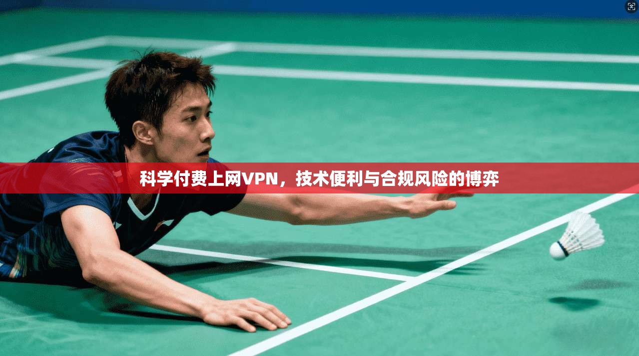科学付费上网VPN，技术便利与合规风险的博弈