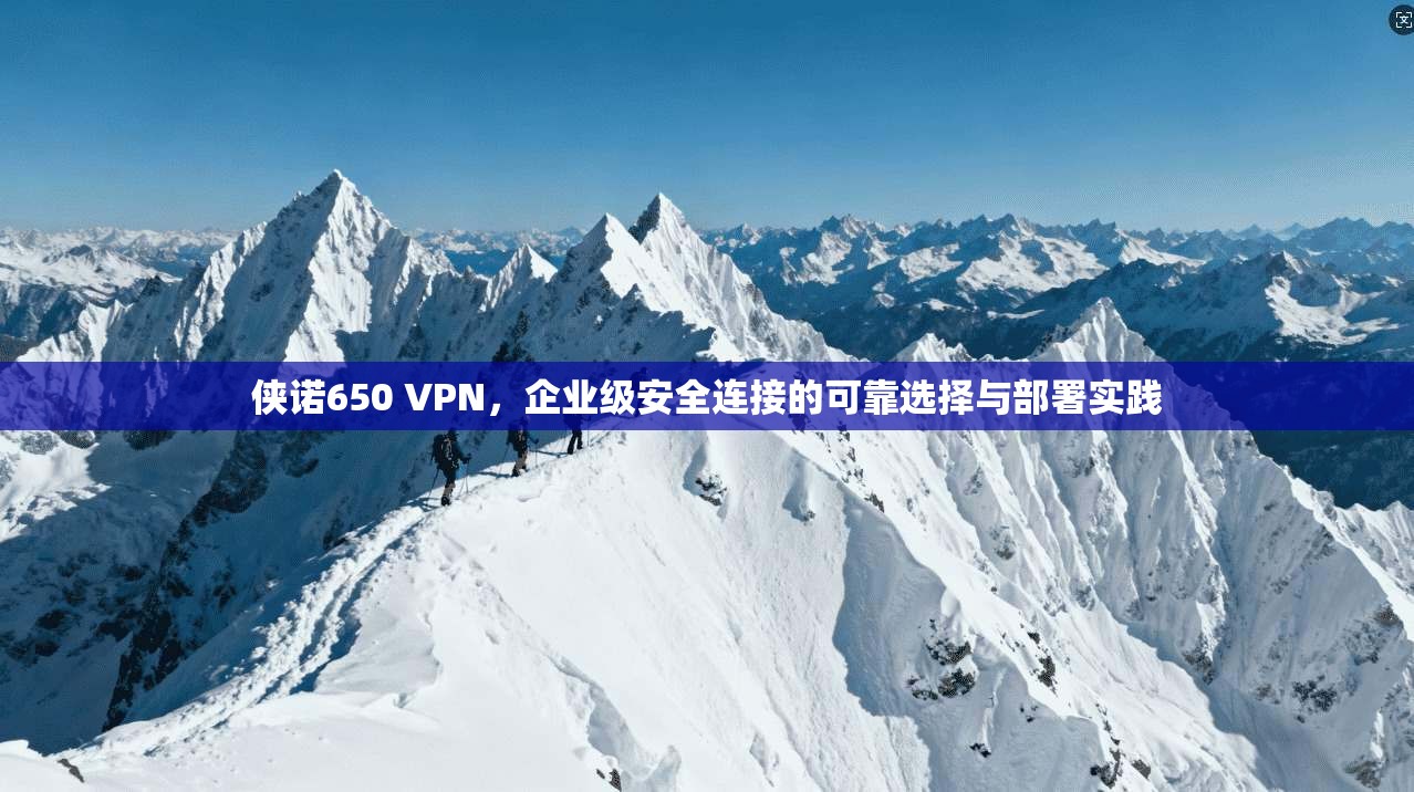 侠诺650 VPN，企业级安全连接的可靠选择与部署实践