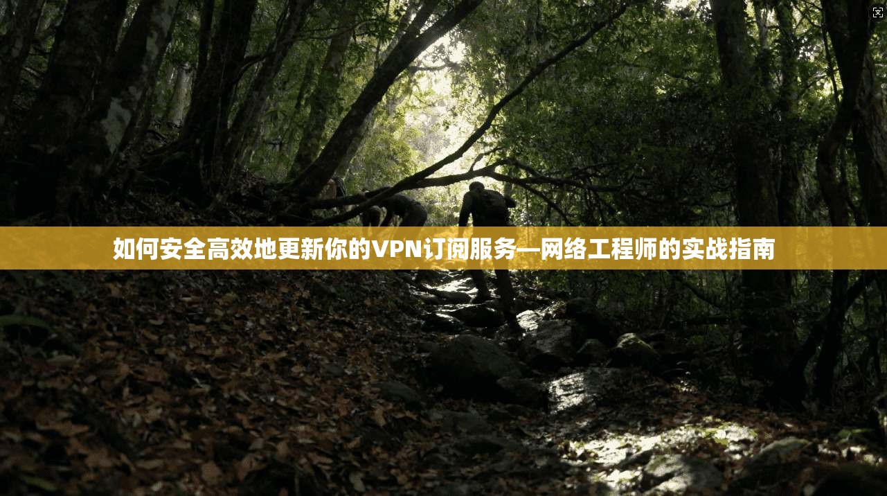 如何安全高效地更新你的VPN订阅服务—网络工程师的实战指南