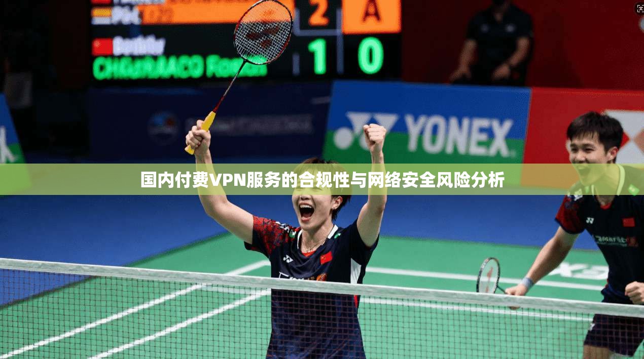 国内付费VPN服务的合规性与网络安全风险分析