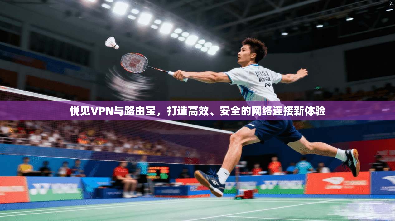 悦见VPN与路由宝，打造高效、安全的网络连接新体验