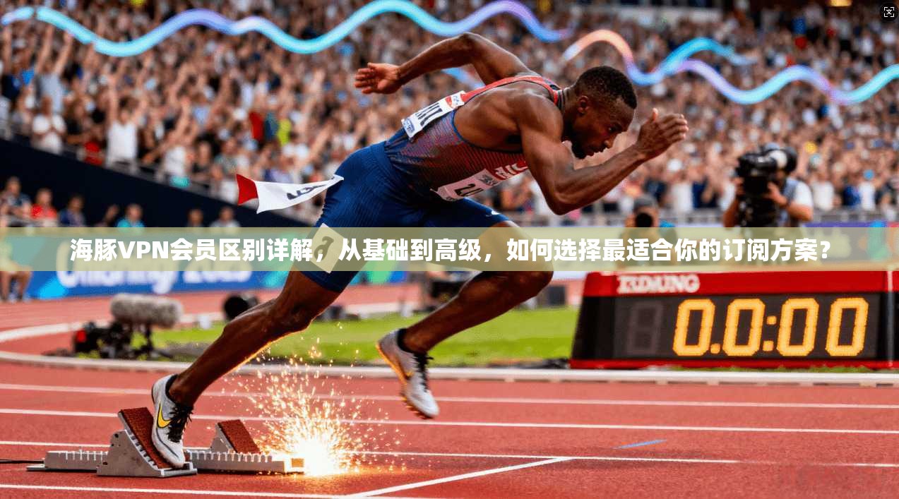海豚VPN会员区别详解，从基础到高级，如何选择最适合你的订阅方案？