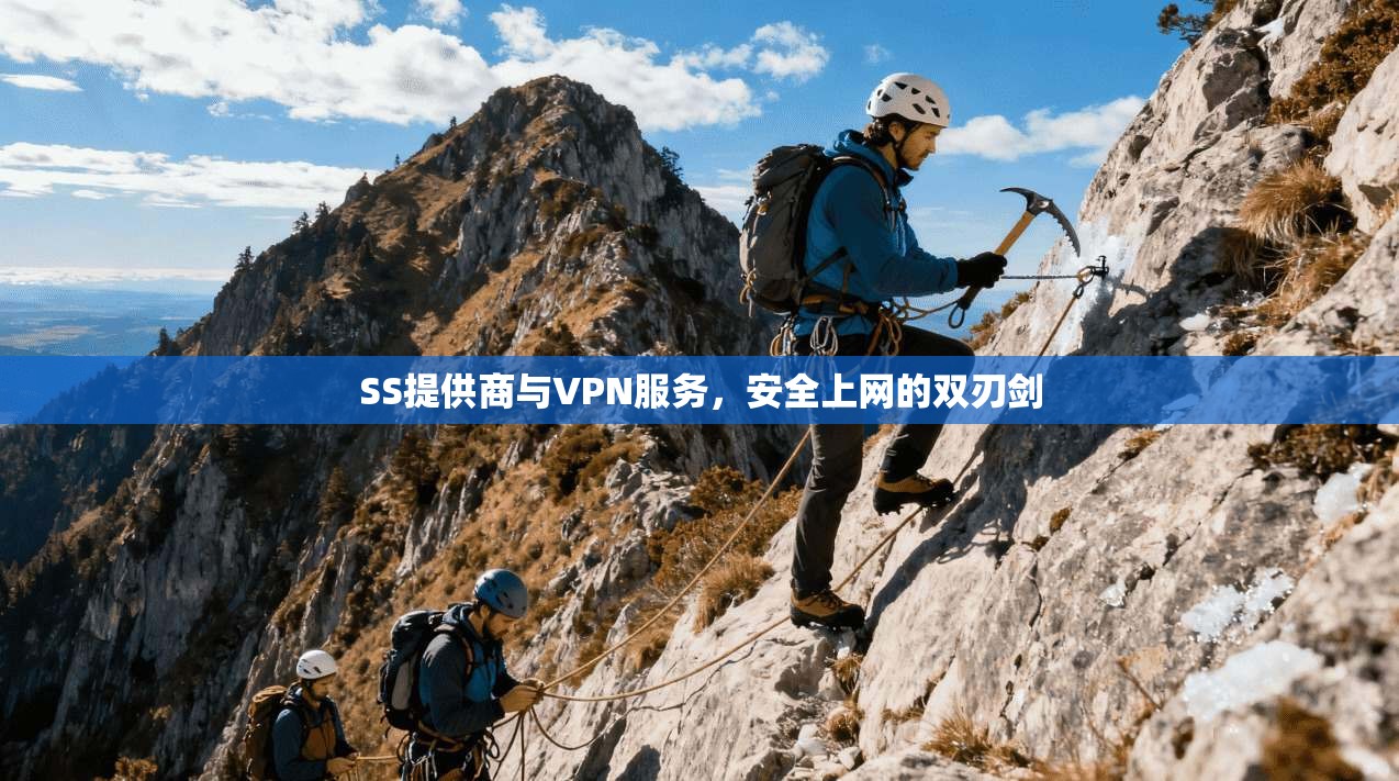 SS提供商与VPN服务，安全上网的双刃剑
