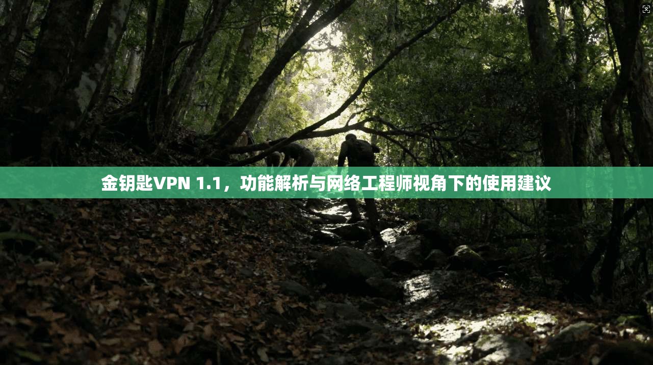 金钥匙VPN 1.1，功能解析与网络工程师视角下的使用建议