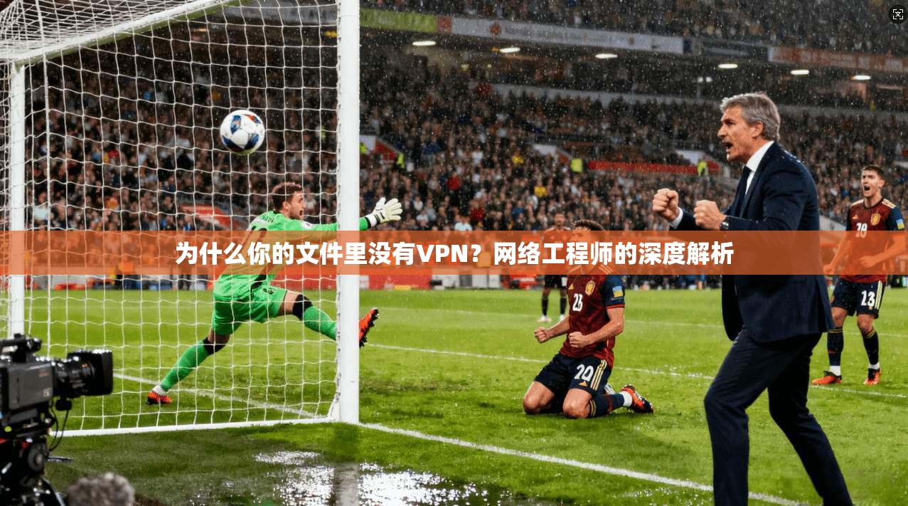 为什么你的文件里没有VPN？网络工程师的深度解析