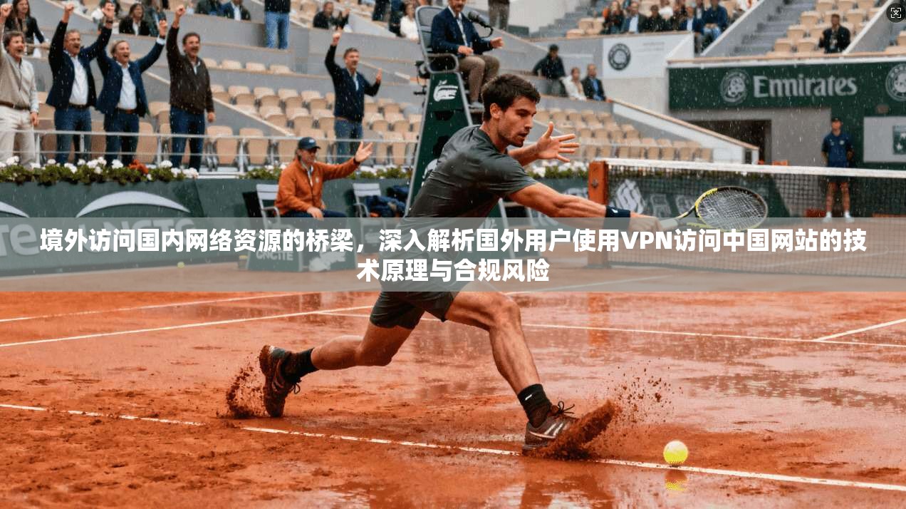 境外访问国内网络资源的桥梁，深入解析国外用户使用VPN访问中国网站的技术原理与合规风险