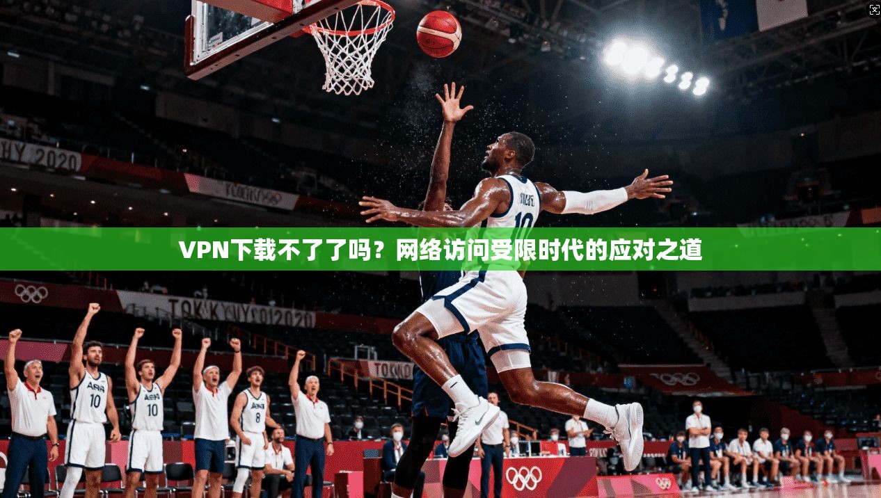 VPN下载不了了吗？网络访问受限时代的应对之道