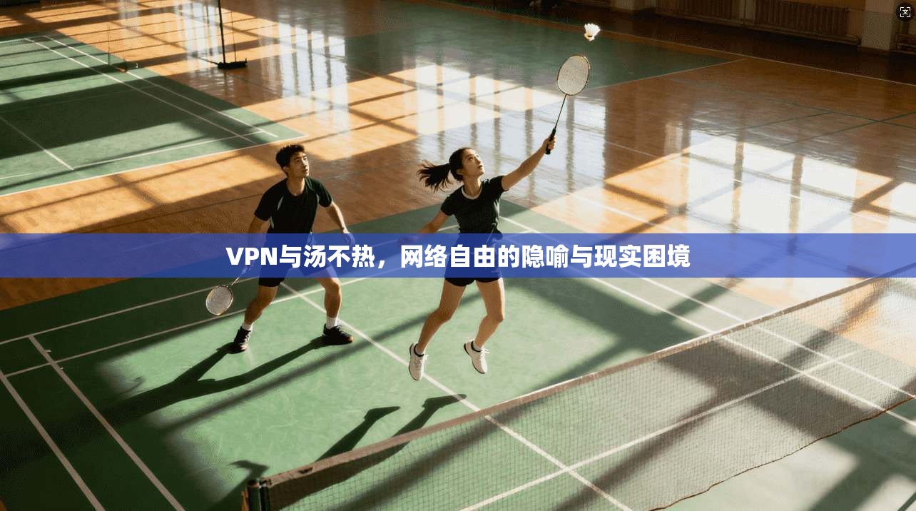VPN与汤不热，网络自由的隐喻与现实困境