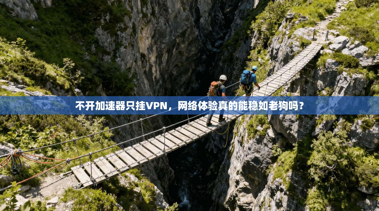 不开加速器只挂VPN，网络体验真的能稳如老狗吗？