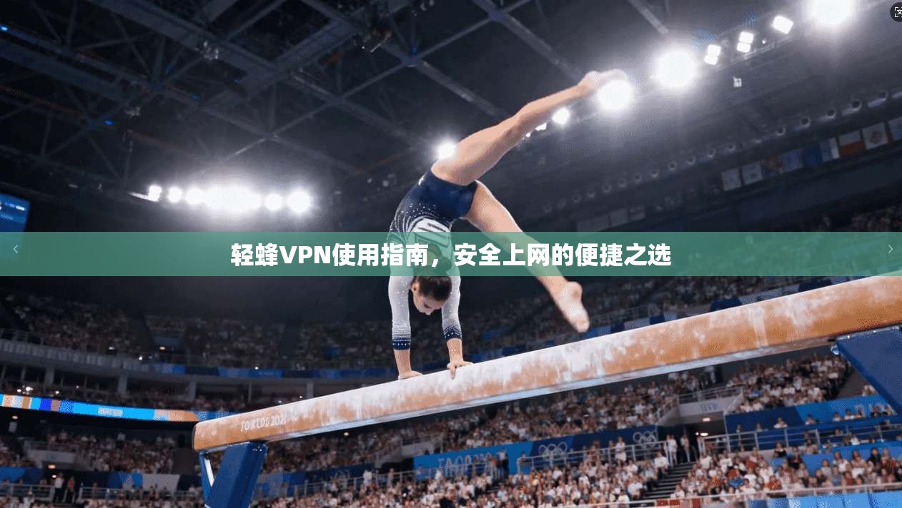 轻蜂VPN使用指南，安全上网的便捷之选