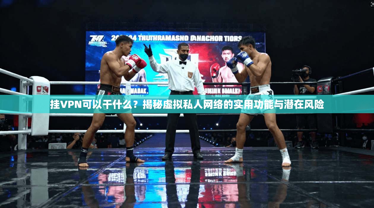 挂VPN可以干什么？揭秘虚拟私人网络的实用功能与潜在风险