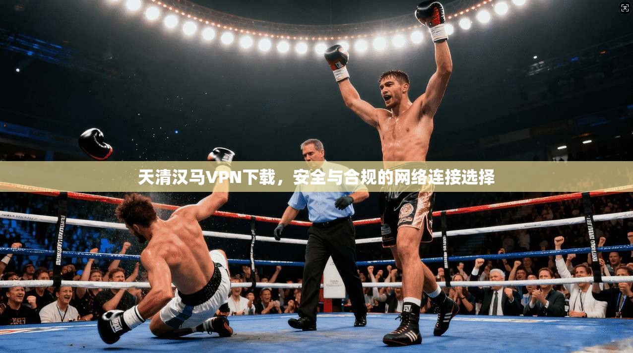 天清汉马VPN下载，安全与合规的网络连接选择