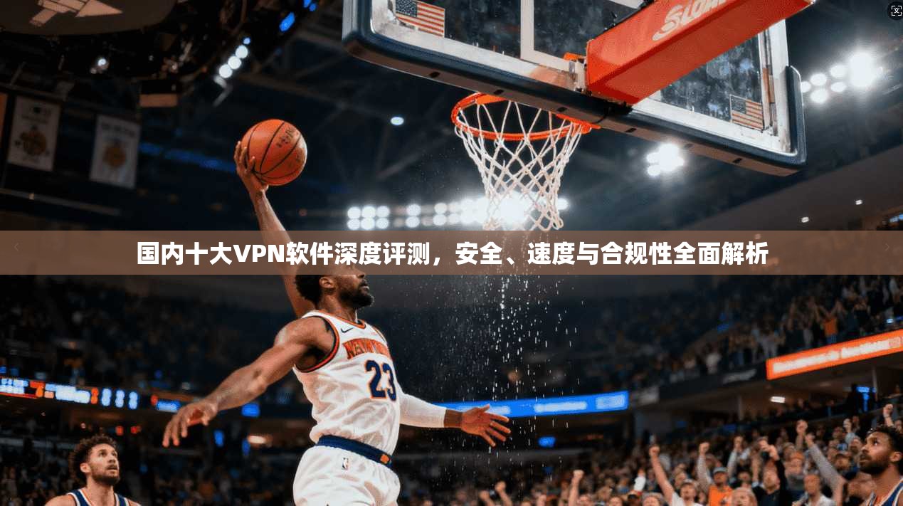 国内十大VPN软件深度评测，安全、速度与合规性全面解析