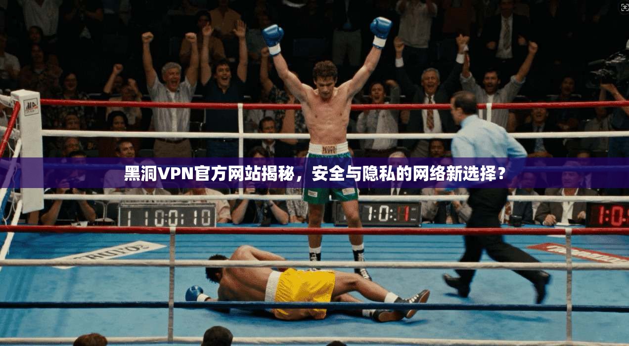 黑洞VPN官方网站揭秘，安全与隐私的网络新选择？