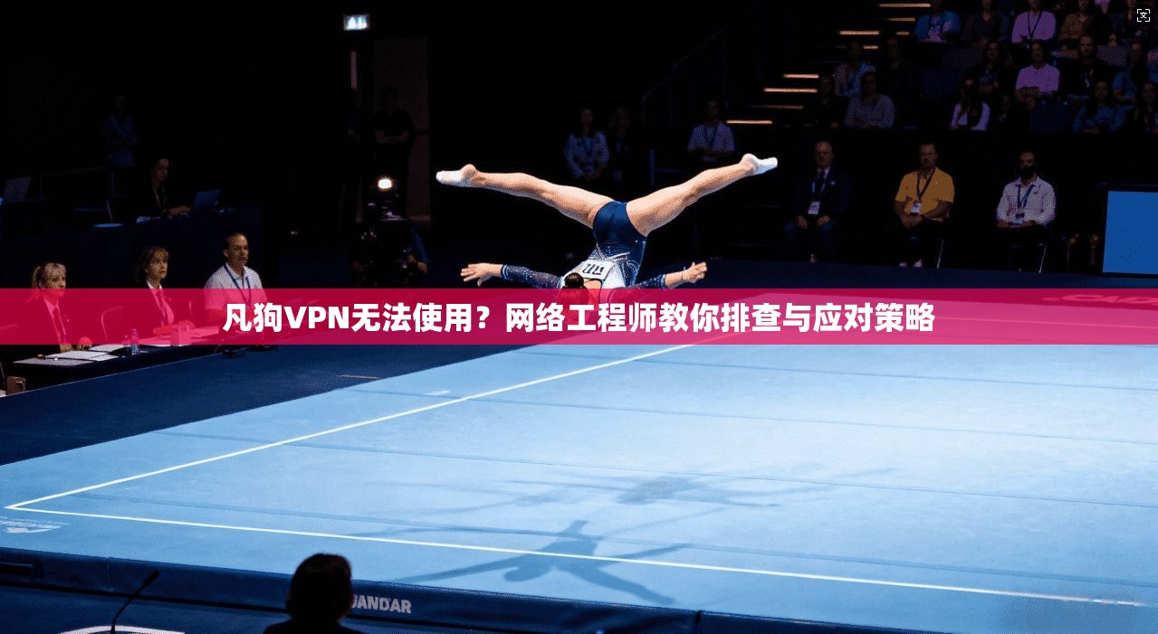 凡狗VPN无法使用？网络工程师教你排查与应对策略
