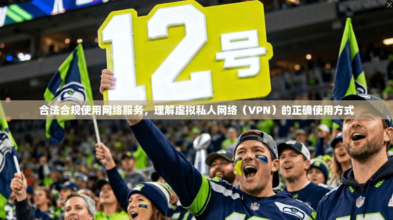 合法合规使用网络服务，理解虚拟私人网络（VPN）的正确使用方式