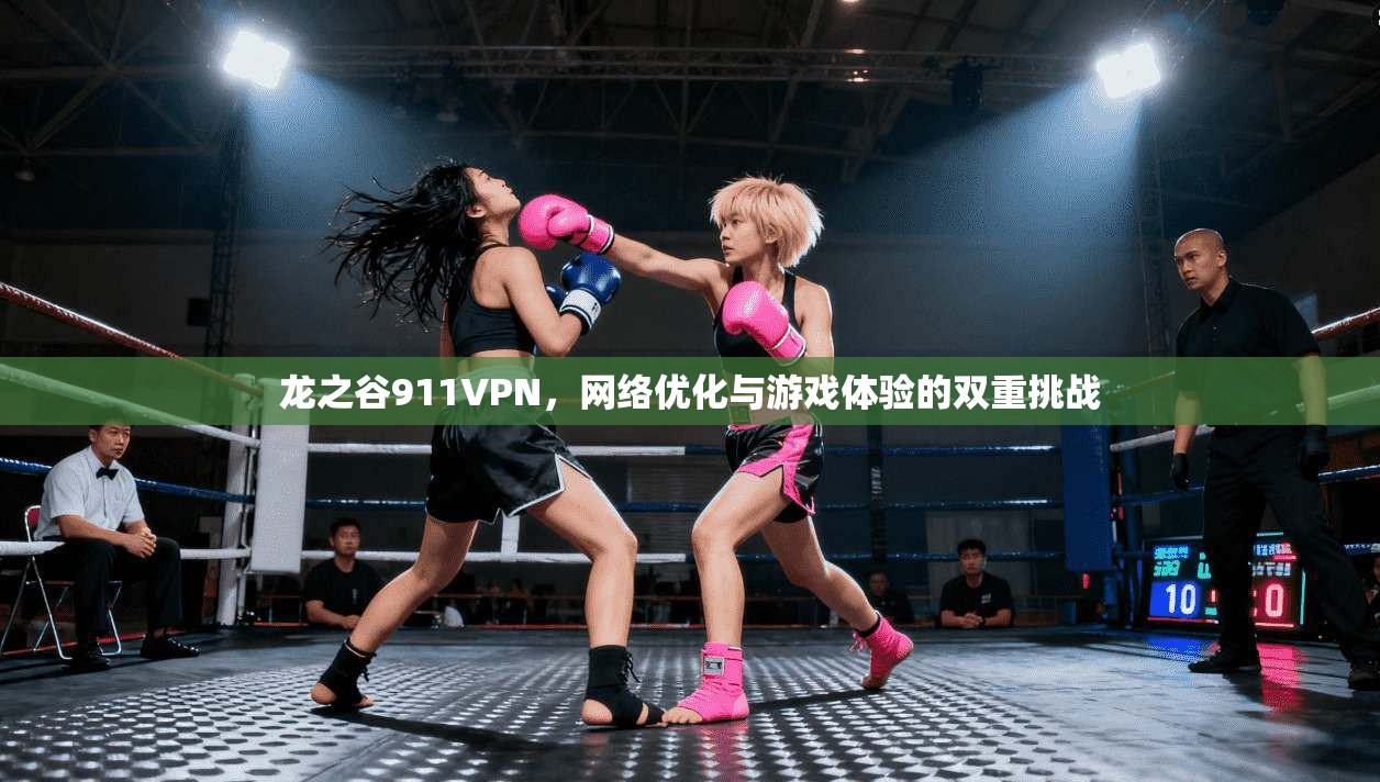 龙之谷911VPN，网络优化与游戏体验的双重挑战