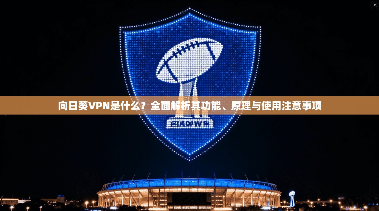 向日葵VPN是什么？全面解析其功能、原理与使用注意事项
