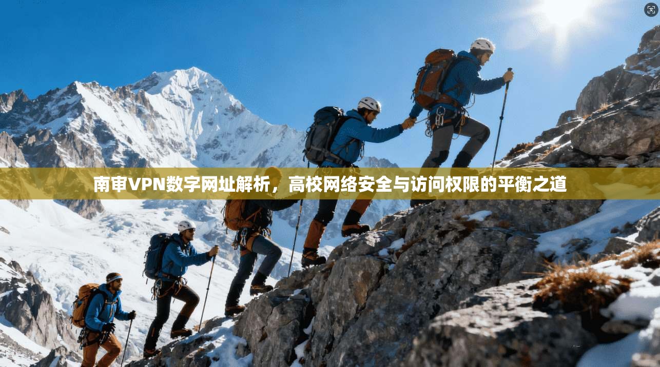 南审VPN数字网址解析，高校网络安全与访问权限的平衡之道