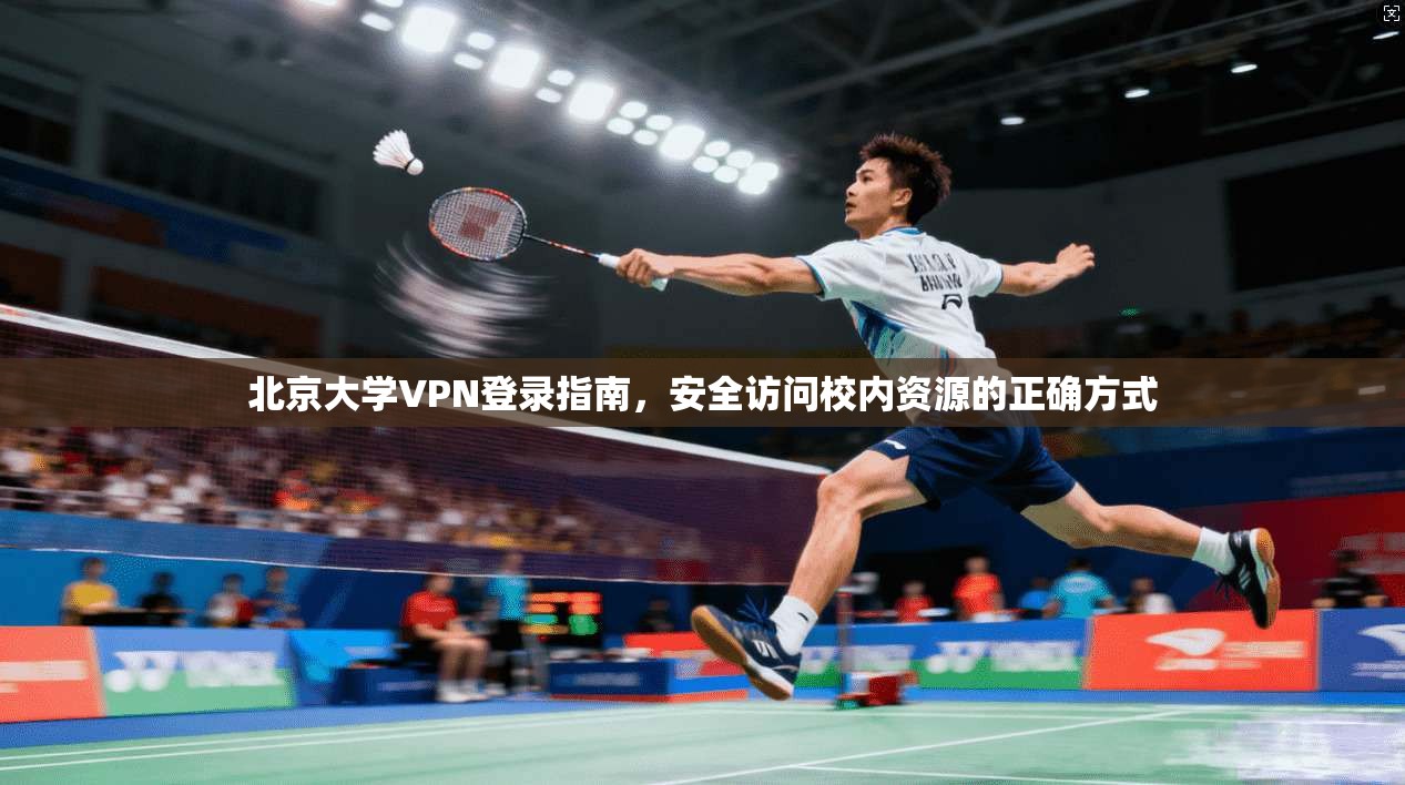 北京大学VPN登录指南，安全访问校内资源的正确方式
