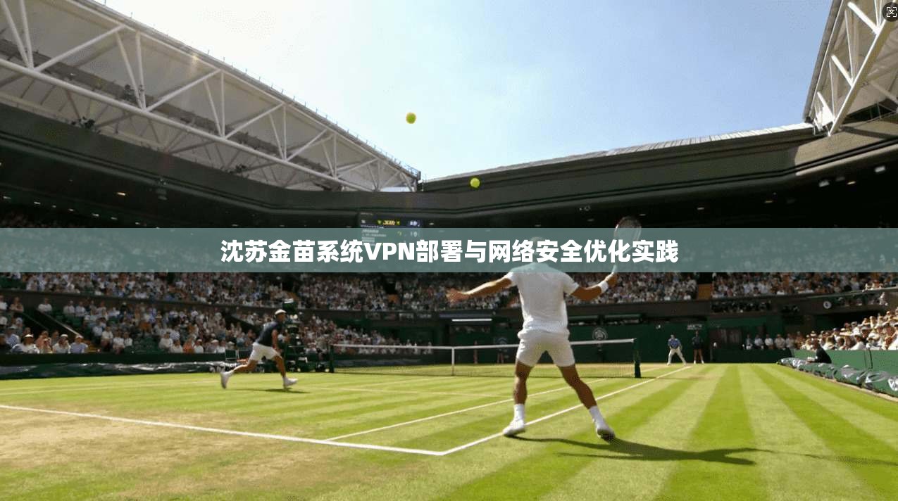 沈苏金苗系统VPN部署与网络安全优化实践