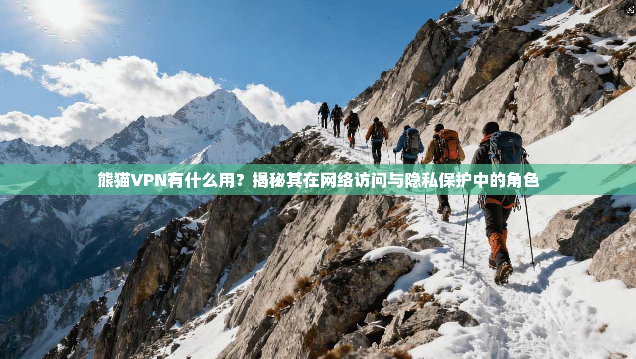 熊猫VPN有什么用？揭秘其在网络访问与隐私保护中的角色