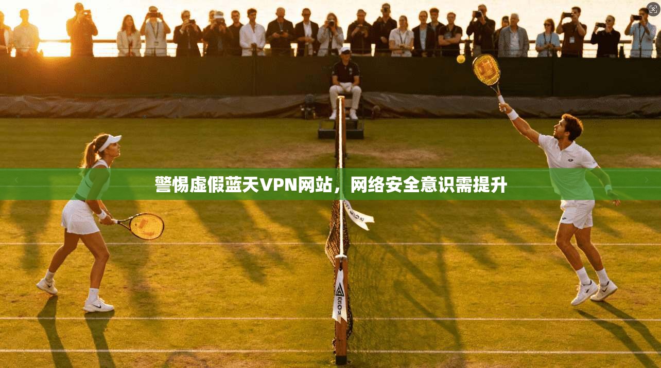 警惕虚假蓝天VPN网站，网络安全意识需提升