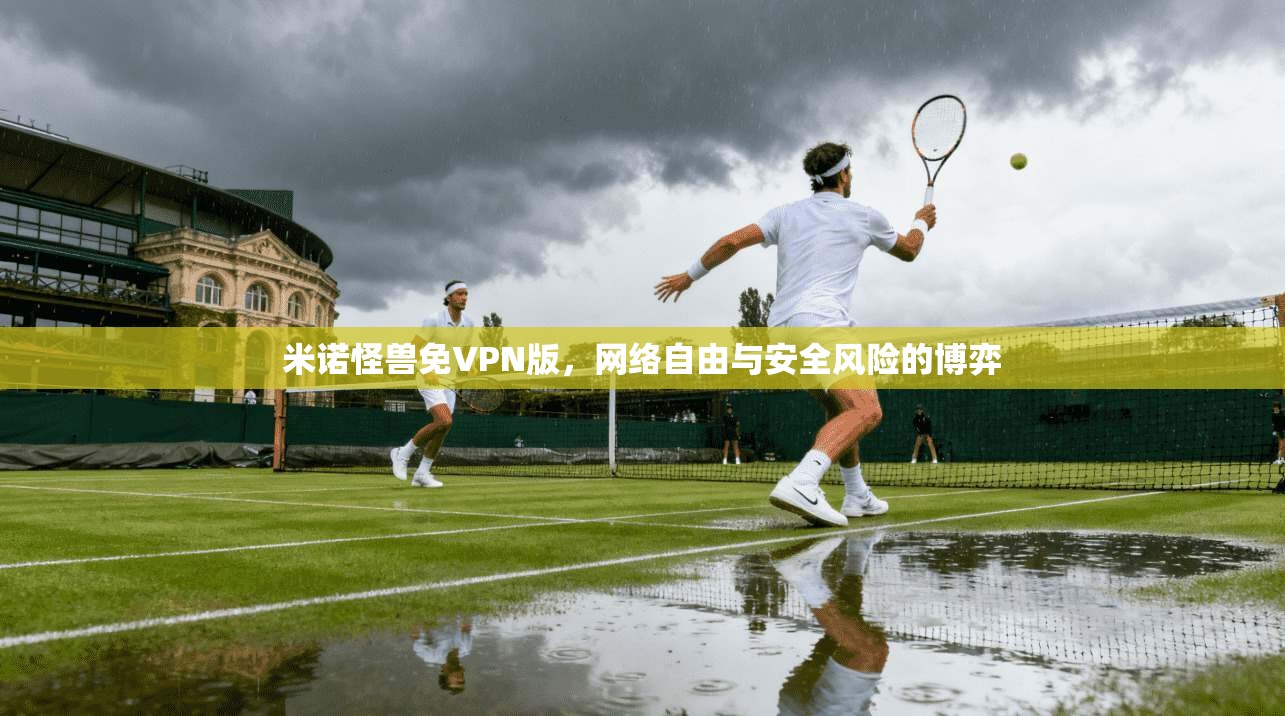 米诺怪兽免VPN版，网络自由与安全风险的博弈