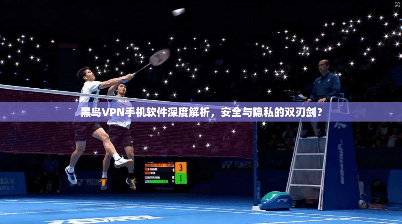 黑鸟VPN手机软件深度解析，安全与隐私的双刃剑？