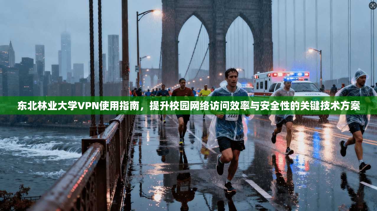 东北林业大学VPN使用指南，提升校园网络访问效率与安全性的关键技术方案