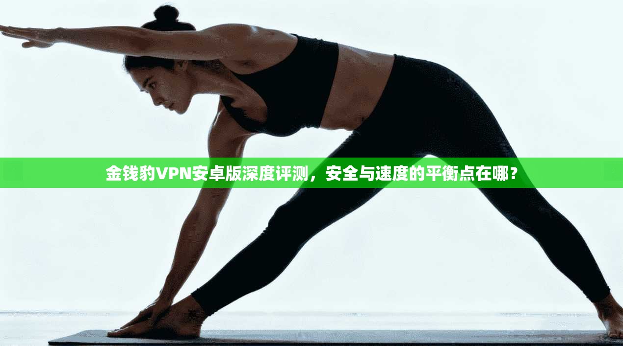 金钱豹VPN安卓版深度评测，安全与速度的平衡点在哪？
