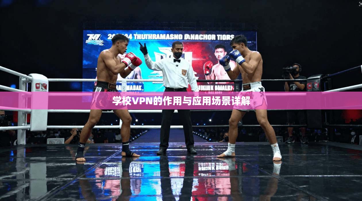 学校VPN的作用与应用场景详解
