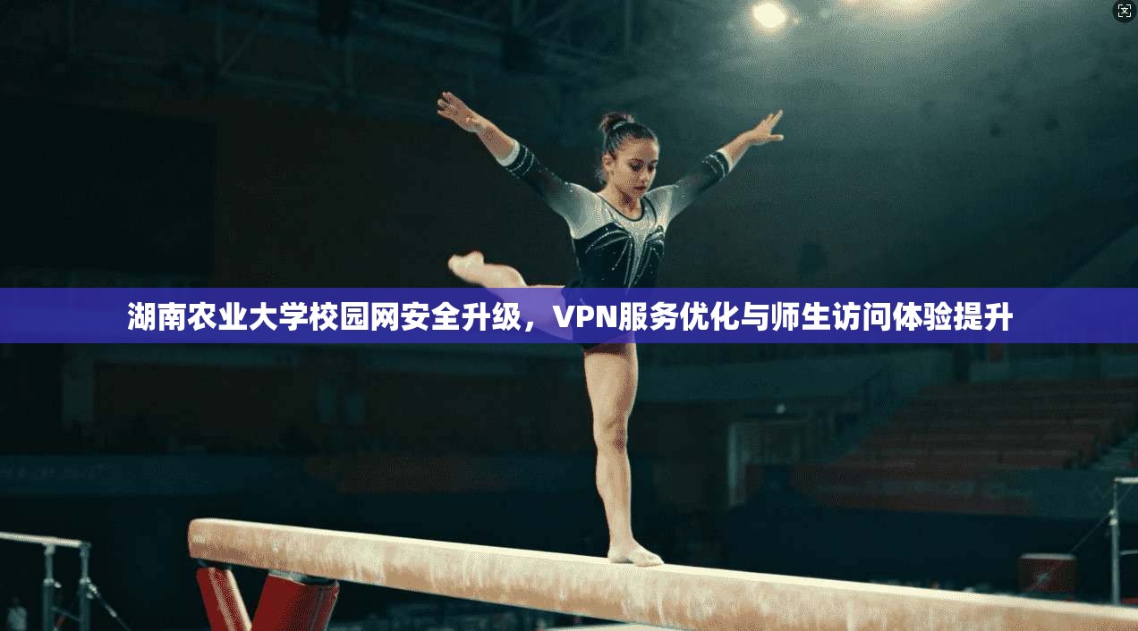 湖南农业大学校园网安全升级，VPN服务优化与师生访问体验提升