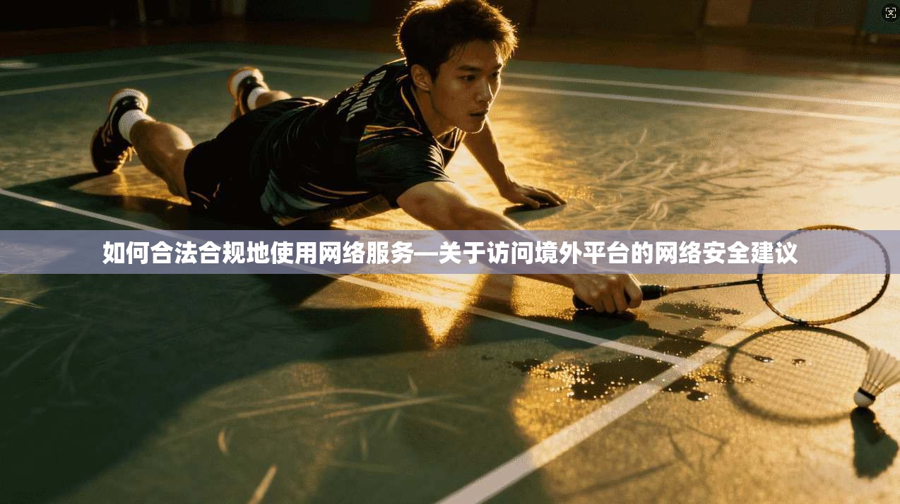 如何合法合规地使用网络服务—关于访问境外平台的网络安全建议
