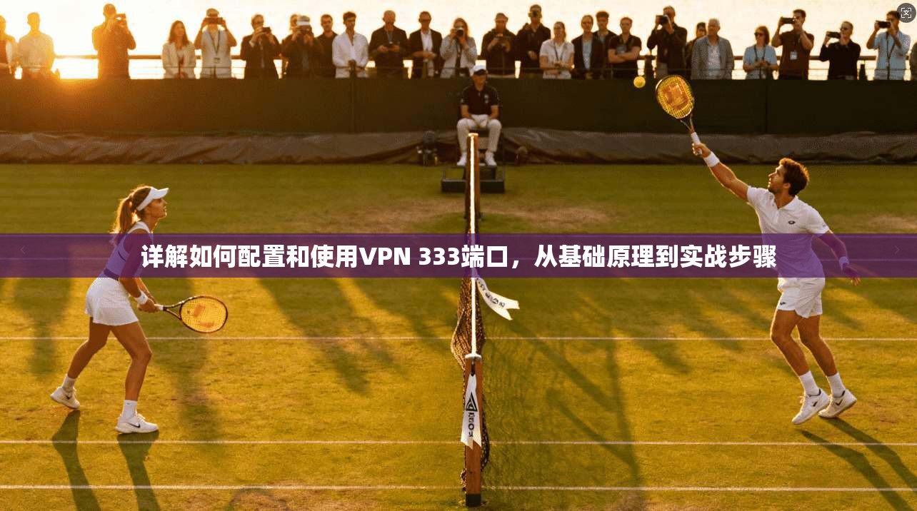 详解如何配置和使用VPN 333端口，从基础原理到实战步骤