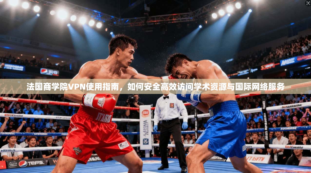 法国商学院VPN使用指南，如何安全高效访问学术资源与国际网络服务