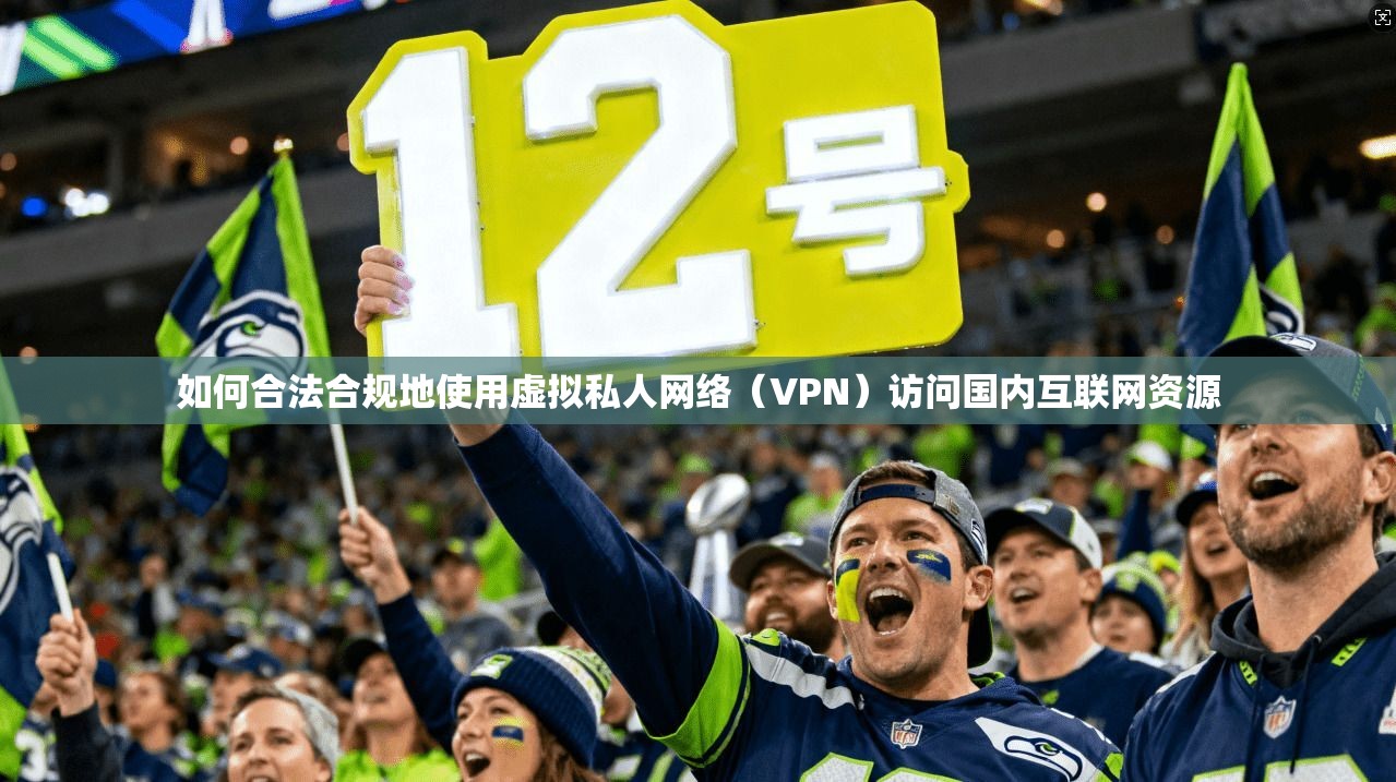 如何合法合规地使用虚拟私人网络（VPN）访问国内互联网资源