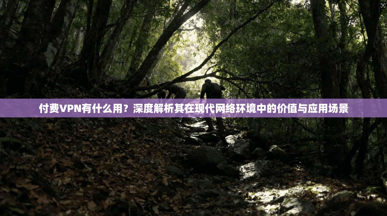 付费VPN有什么用？深度解析其在现代网络环境中的价值与应用场景