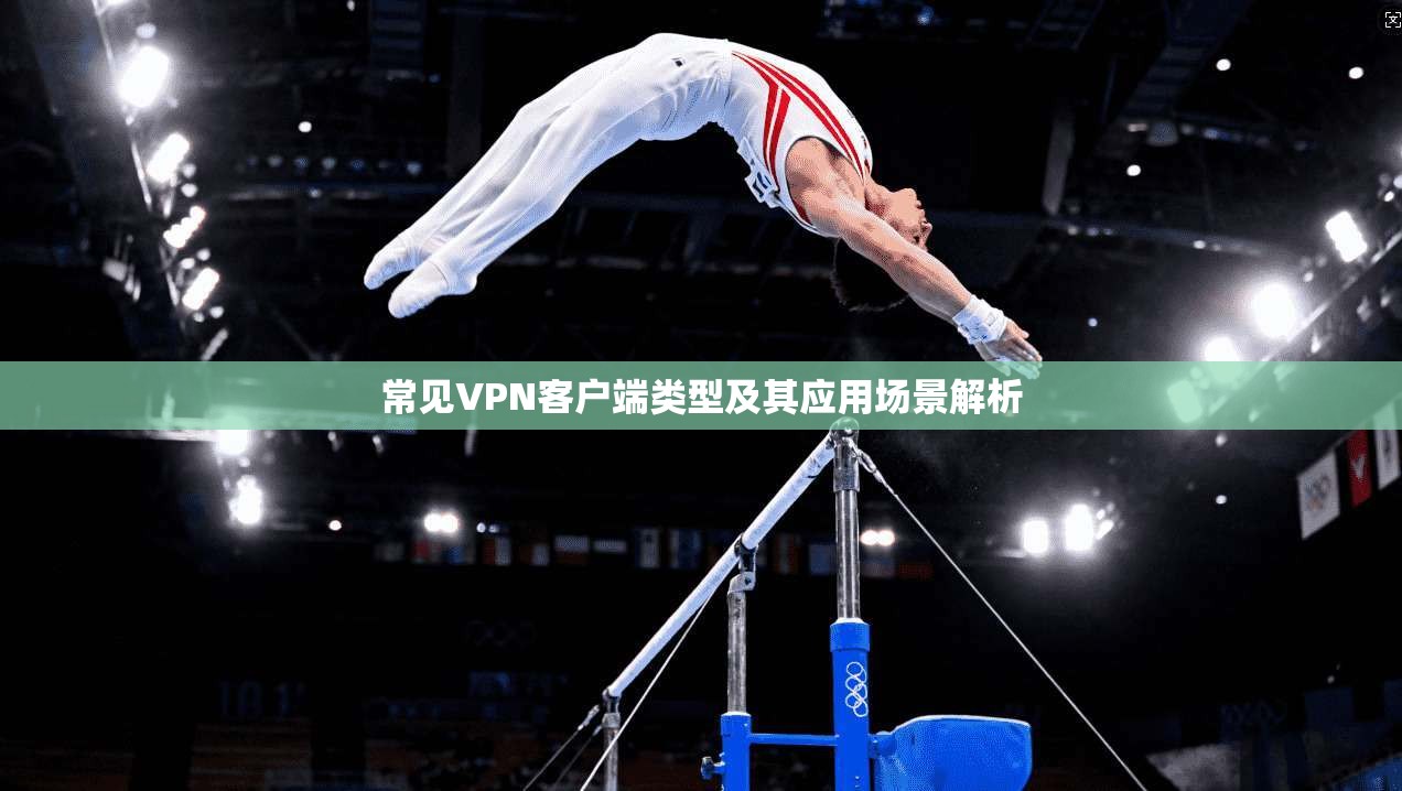 常见VPN客户端类型及其应用场景解析