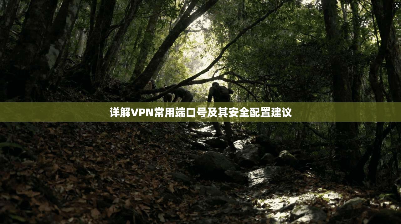 详解VPN常用端口号及其安全配置建议