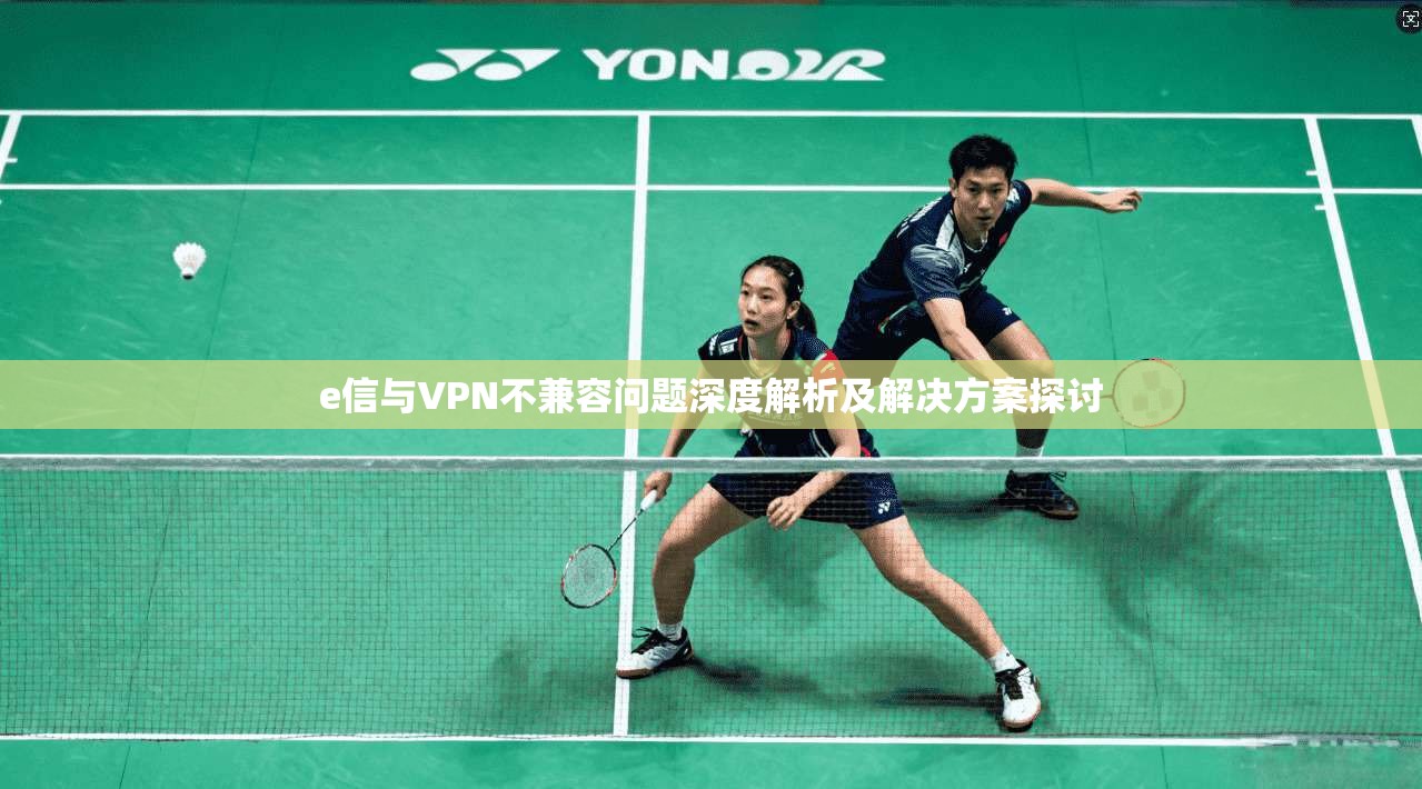 e信与VPN不兼容问题深度解析及解决方案探讨
