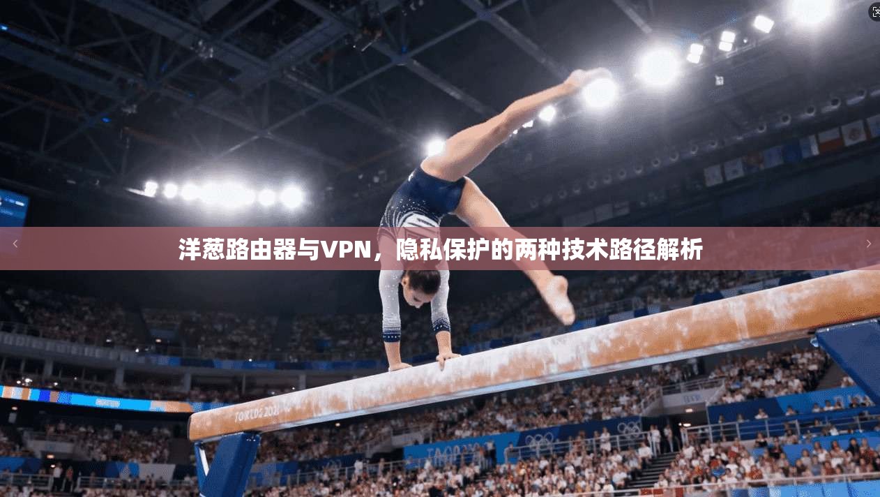 洋葱路由器与VPN，隐私保护的两种技术路径解析