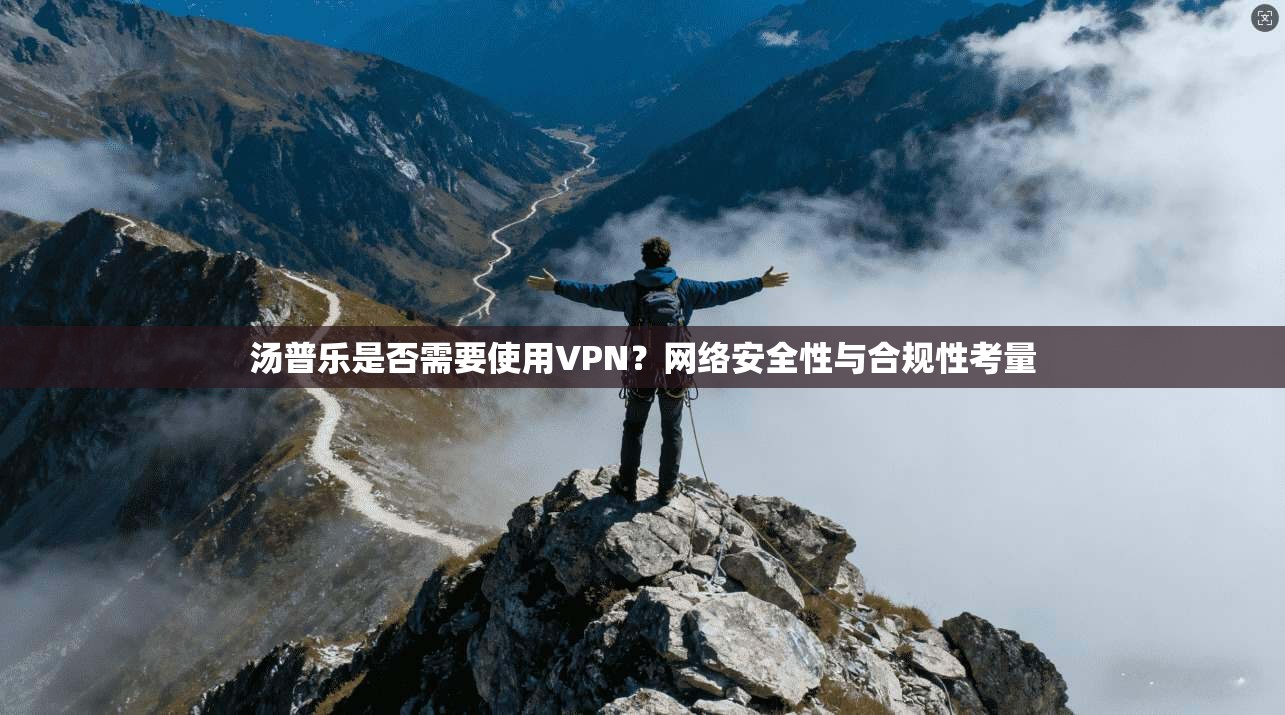 汤普乐是否需要使用VPN？网络安全性与合规性考量