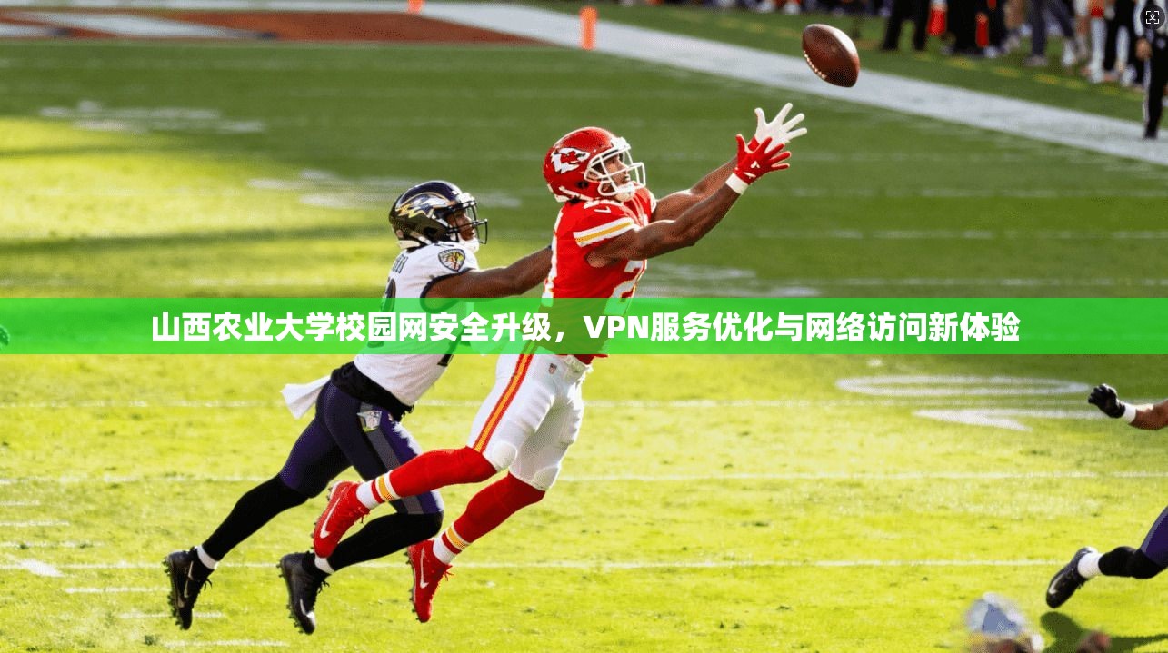 山西农业大学校园网安全升级，VPN服务优化与网络访问新体验